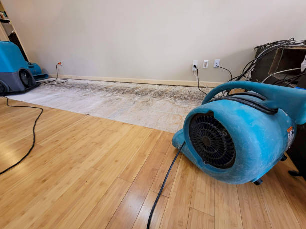 Reliable Storm Water Damage Restoration contractor in Springfield, SD by Hirex Water Damage