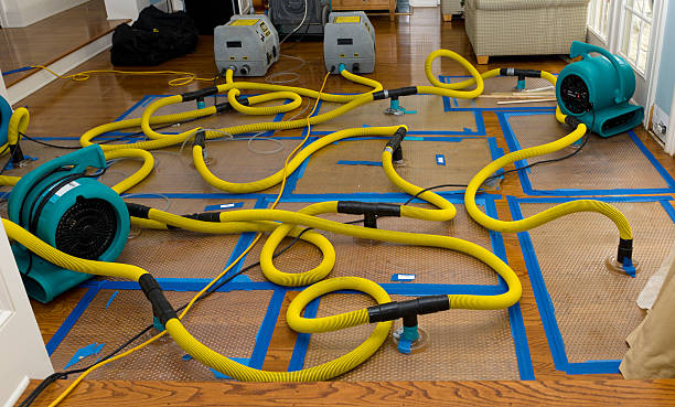 Professional Storm Water Damage Restoration technician working in Springfield, SD